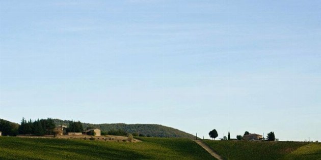 Hügel mit Weinbergen und Bauernhof