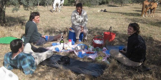 4 Menschen sitzen im Kreis und machen Picknick, 2 Pferde stehen im Hintergrund
