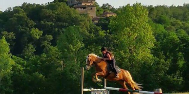 Pferd und Reiter springen über Hindernis